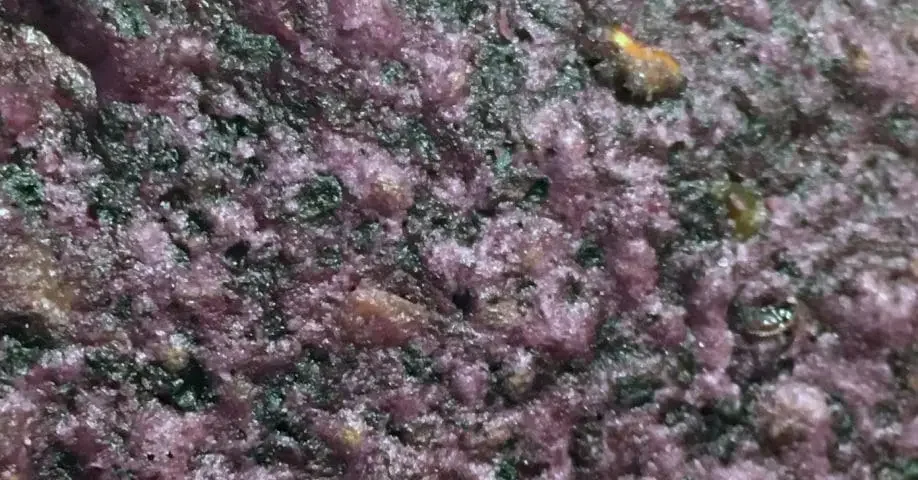 Image of osmosis