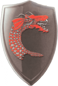 A shield with a dragon on it.