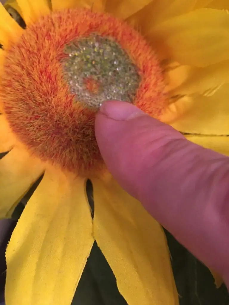 Image to the insight, Touched