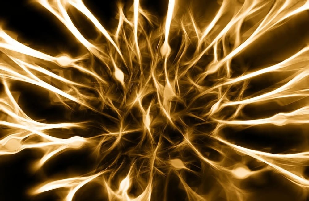 Image to Insight – Clarity
