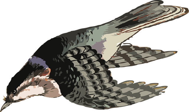 Image to the poem, Flown