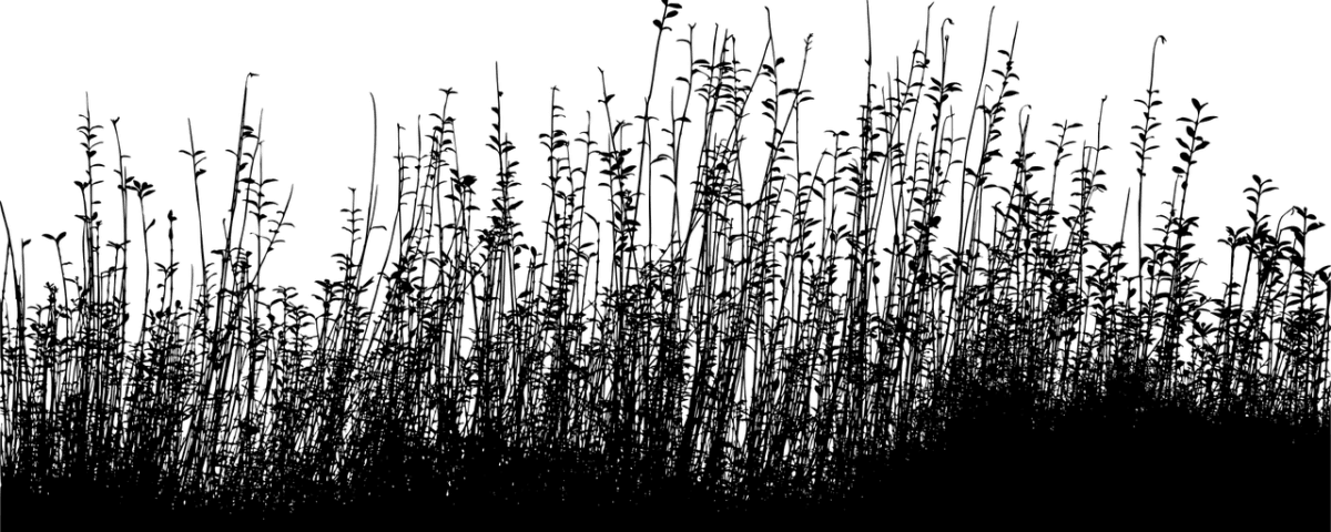 Image from the poem, Forge