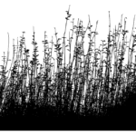 Image from the poem, Forge