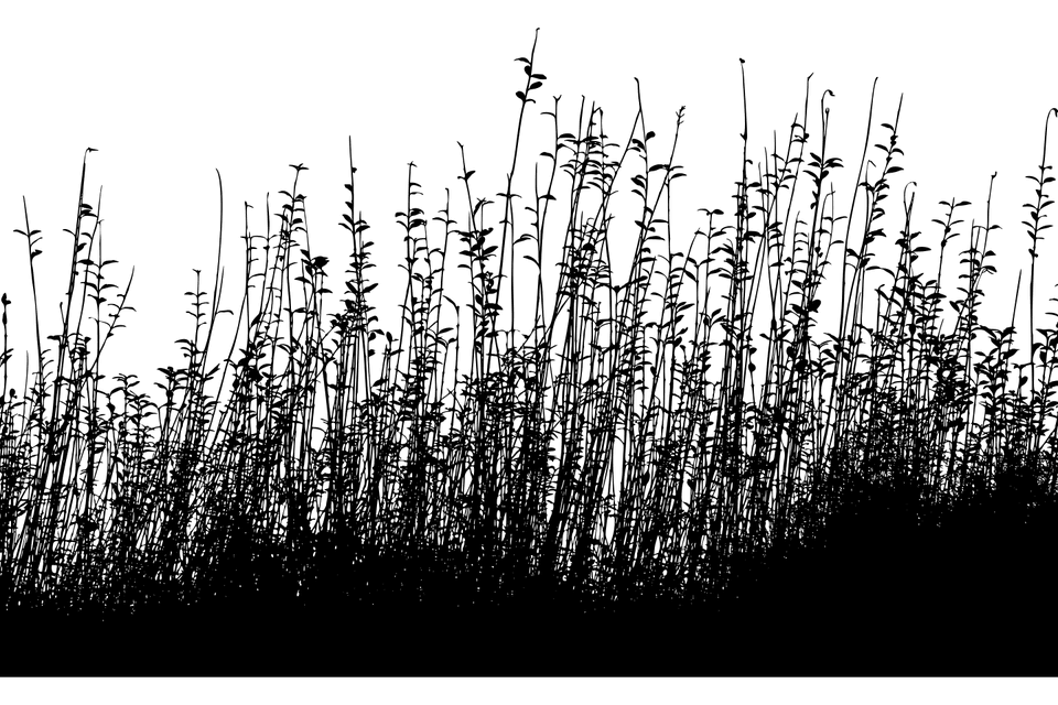 Image from the poem, Forge