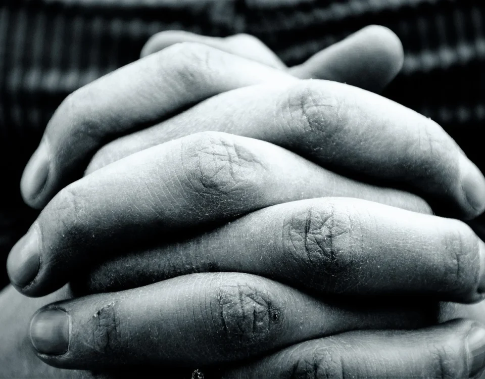 Image from the blog Poem - The Lamb