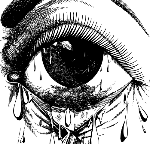 Image of an eye