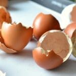 Image of broken egg shells