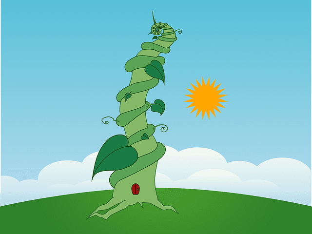 Image of a beanstalk