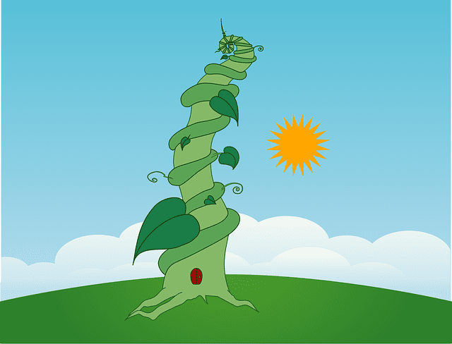 Image of a beanstalk